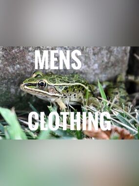 Men's Accessories - Green Frog Graphic (Brand Unspecified)